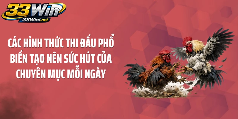 Các hình thức thi đấu phổ biến tạo nên sức hút của chuyên mục mỗi ngày