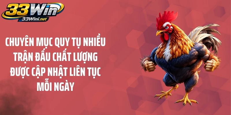 Chuyên mục quy tụ nhiều trận đấu chất lượng được cập nhật liên tục mỗi ngày