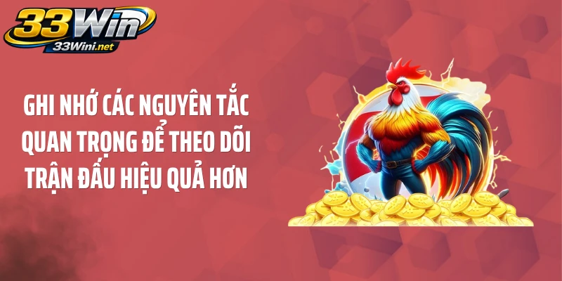 Ghi nhớ các nguyên tắc quan trọng để theo dõi trận đấu hiệu quả hơn